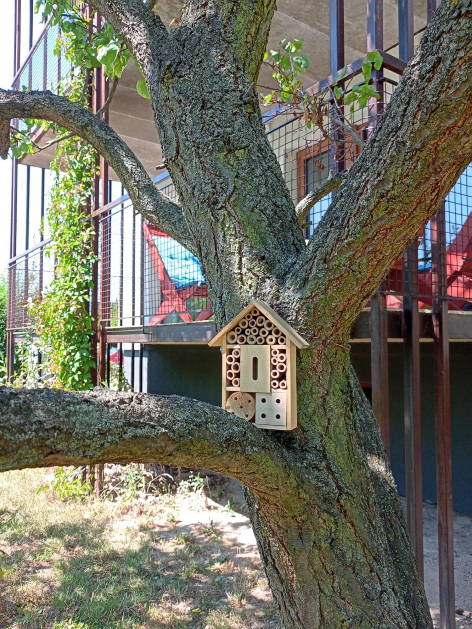 Vila Vekose - Apartman S Terasou A Zahradou Hradec Králové Екстериор снимка